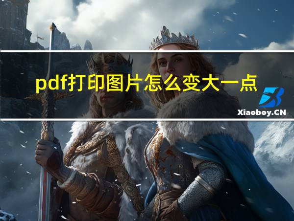 pdf打印图片怎么变大一点的相关图片