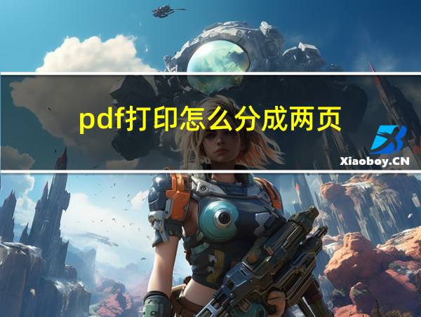 pdf打印怎么分成两页的相关图片