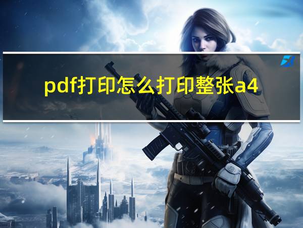 pdf打印怎么打印整张a4的相关图片