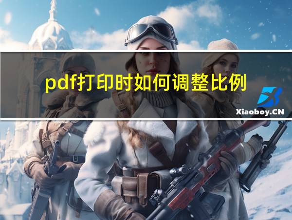 pdf打印时如何调整比例的相关图片