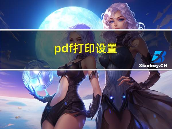 pdf打印设置的相关图片