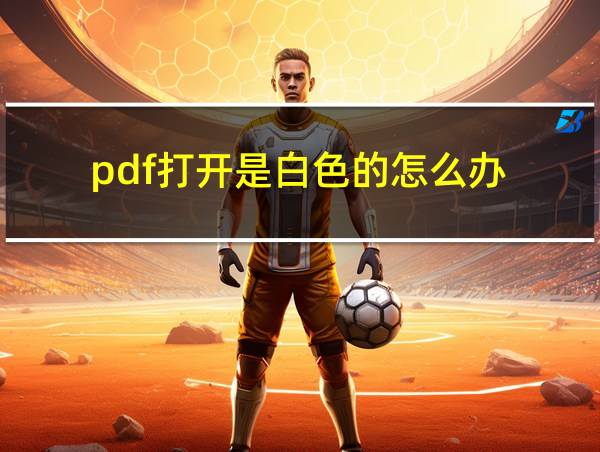 pdf打开是白色的怎么办的相关图片