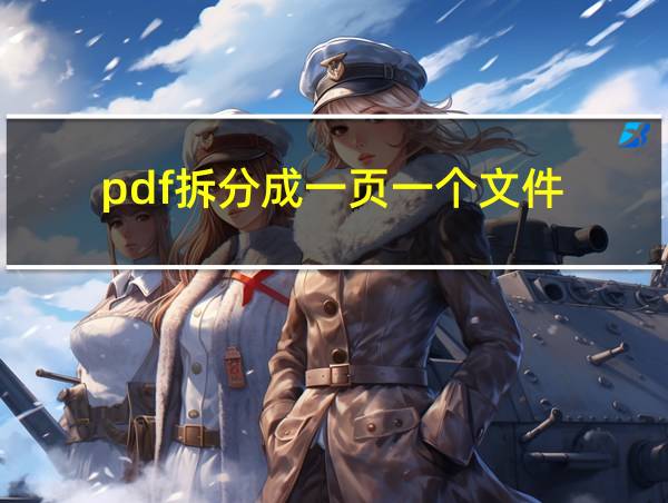 pdf拆分成一页一个文件的相关图片