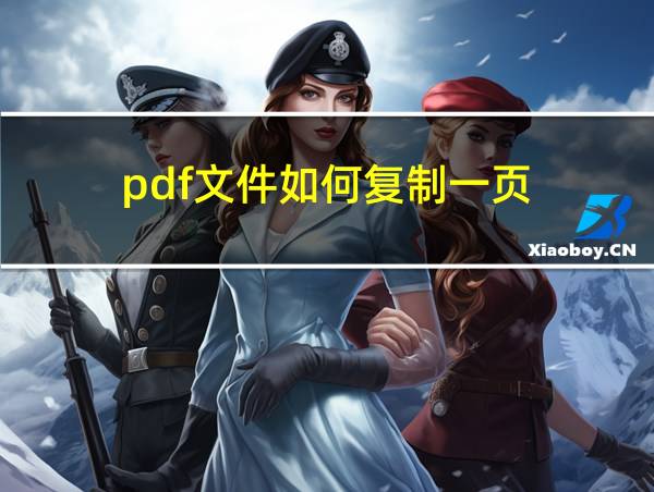 pdf文件如何复制一页的相关图片