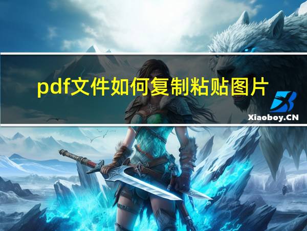 pdf文件如何复制粘贴图片的相关图片