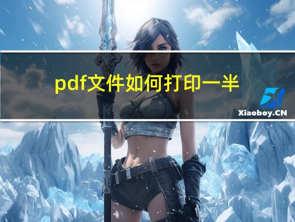 pdf文件如何打印一半的相关图片