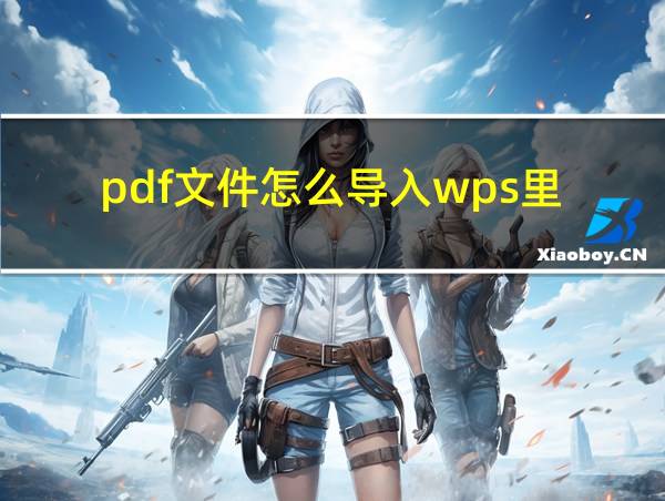 pdf文件怎么导入wps里的相关图片