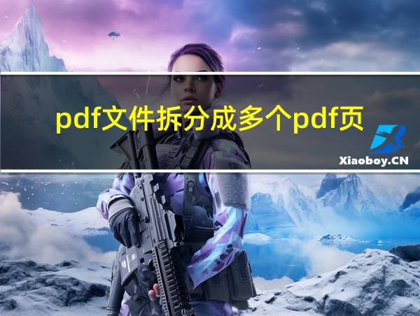 pdf文件拆分成多个pdf页面的相关图片