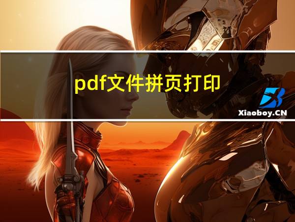 pdf文件拼页打印的相关图片