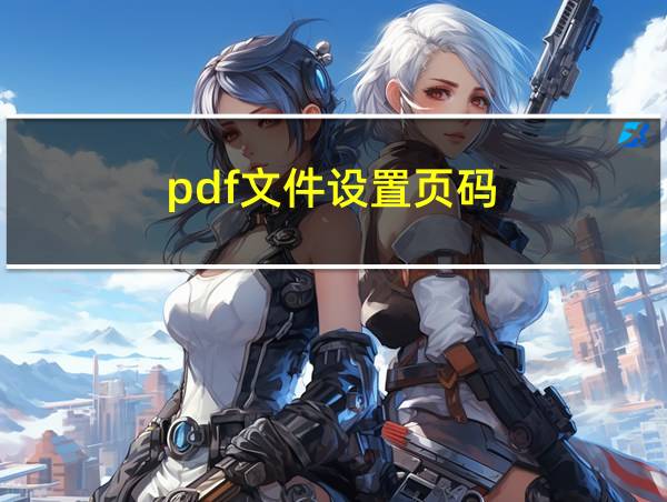 pdf文件设置页码的相关图片