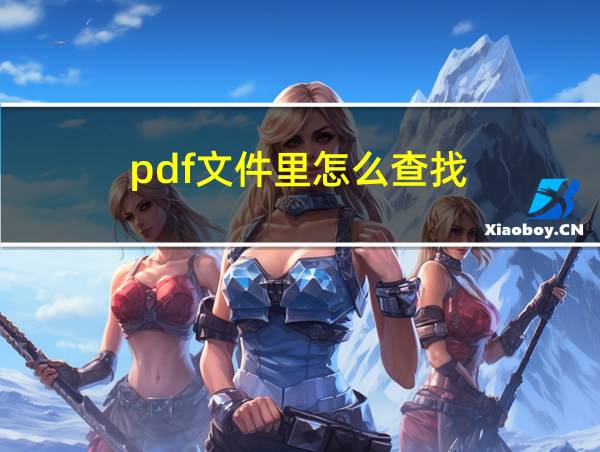 pdf文件里怎么查找的相关图片