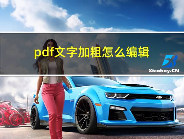 pdf文字加粗怎么编辑的相关图片