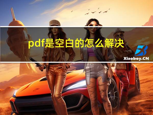 pdf是空白的怎么解决的相关图片