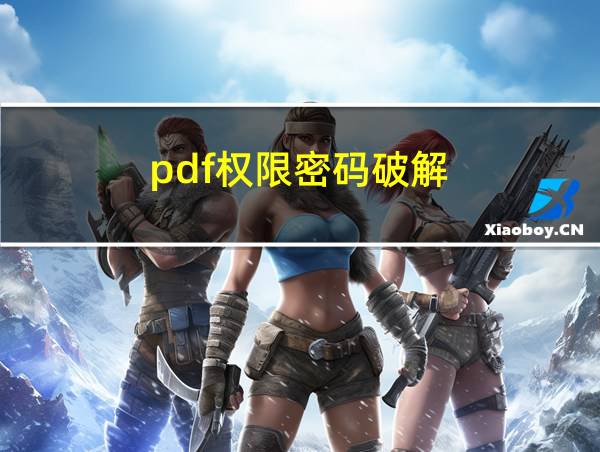 pdf权限密码破解的相关图片