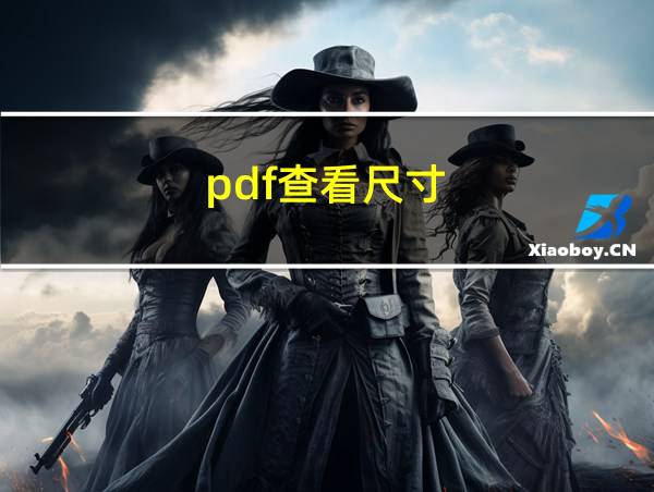 pdf查看尺寸的相关图片