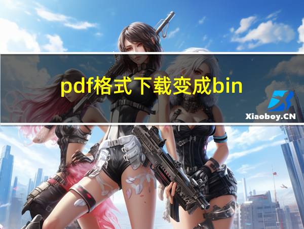 pdf格式下载变成bin的相关图片