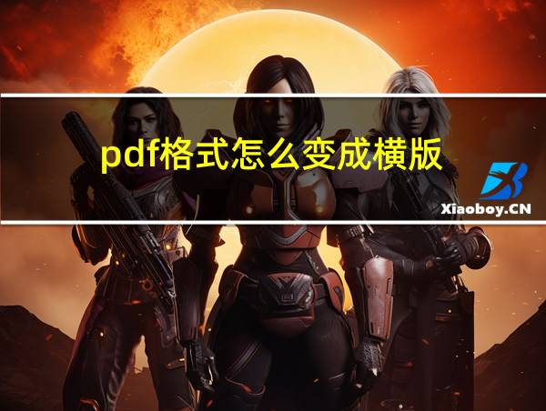 pdf格式怎么变成横版的相关图片