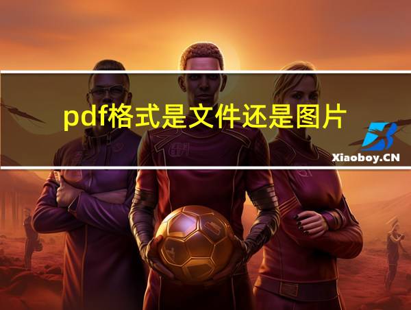 pdf格式是文件还是图片的相关图片