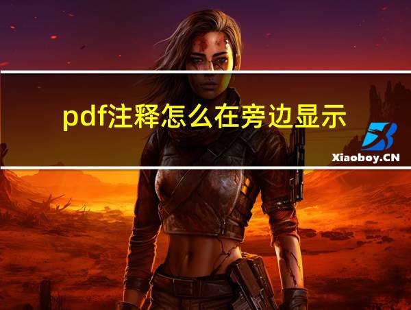 pdf注释怎么在旁边显示的相关图片