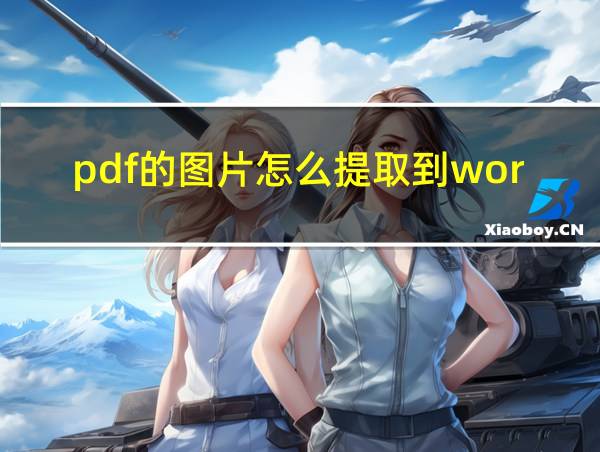 pdf的图片怎么提取到word的相关图片