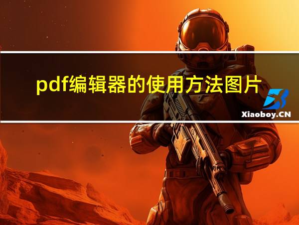 pdf编辑器的使用方法图片的相关图片