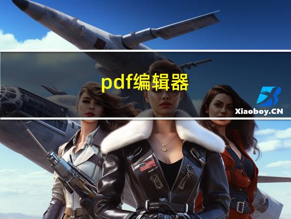 pdf编辑器的相关图片