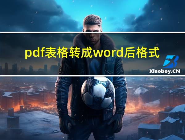 pdf表格转成word后格式乱了怎么办的相关图片