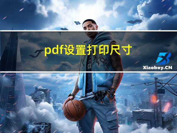 pdf设置打印尺寸的相关图片