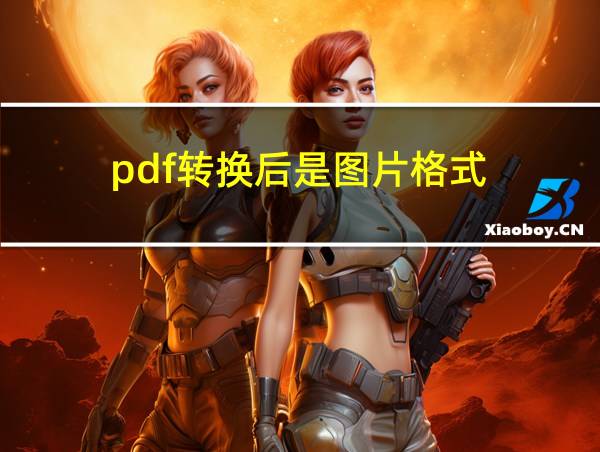 pdf转换后是图片格式的相关图片