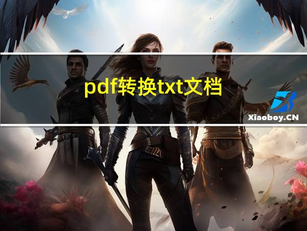 pdf转换txt文档的相关图片