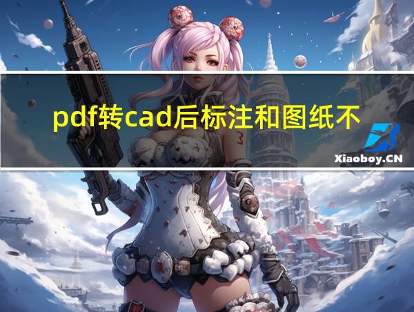 pdf转cad后标注和图纸不一致的相关图片