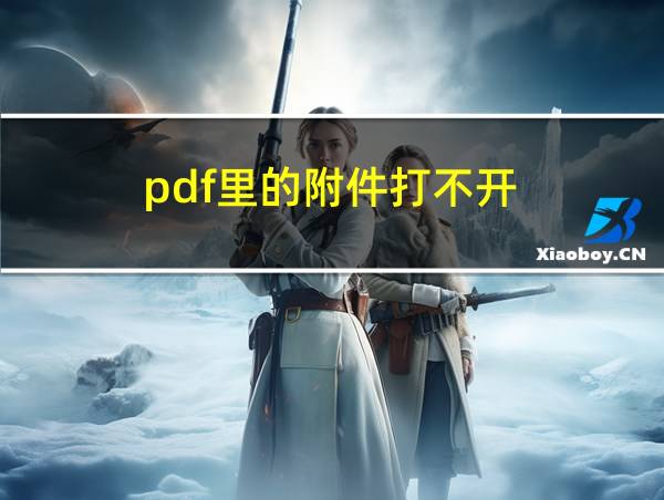 pdf里的附件打不开的相关图片