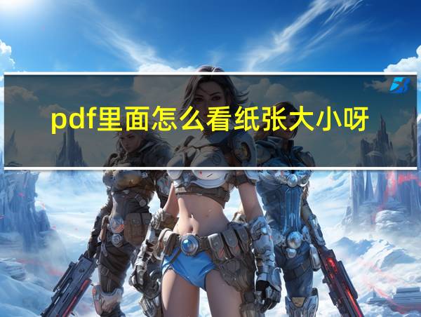 pdf里面怎么看纸张大小呀的相关图片