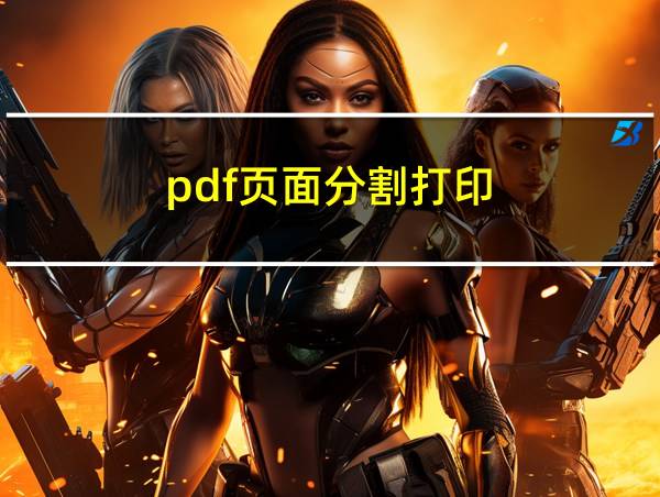 pdf页面分割打印的相关图片