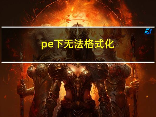 pe下无法格式化的相关图片