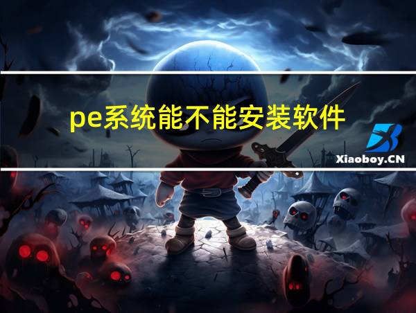 pe系统能不能安装软件的相关图片