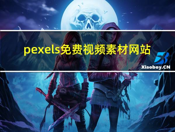 pexels免费视频素材网站的相关图片