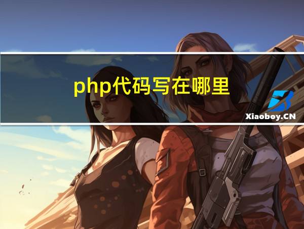 php代码写在哪里的相关图片