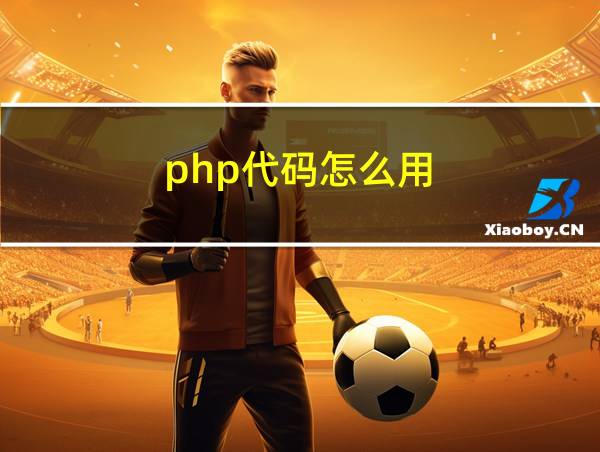 php代码怎么用的相关图片