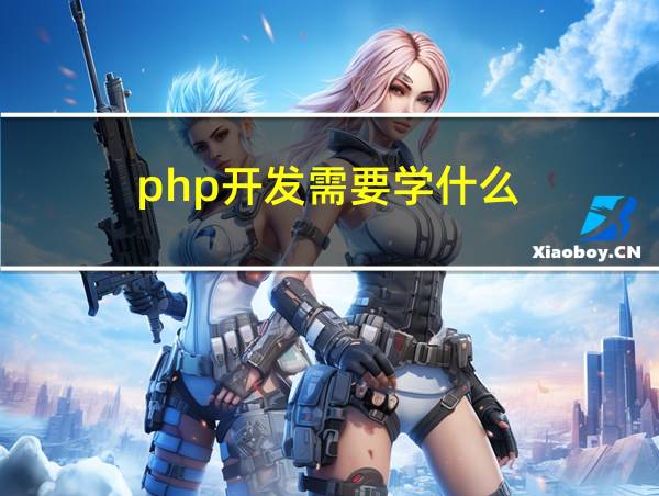 php开发需要学什么的相关图片