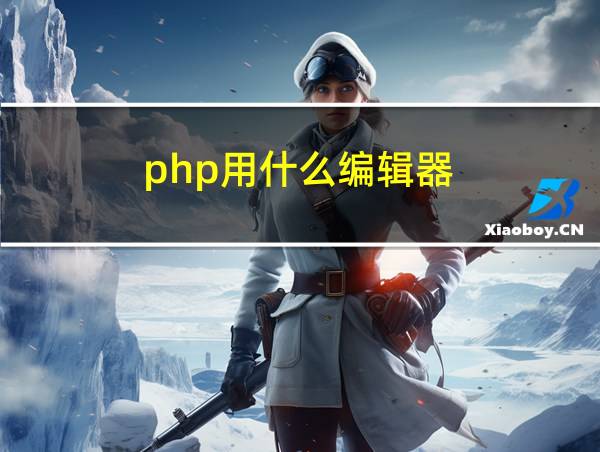 php用什么编辑器的相关图片