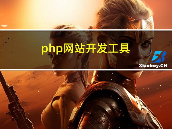 php网站开发工具的相关图片