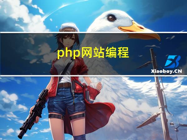 php网站编程的相关图片