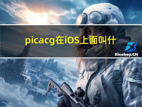 picacg在iOS上面叫什么的相关图片