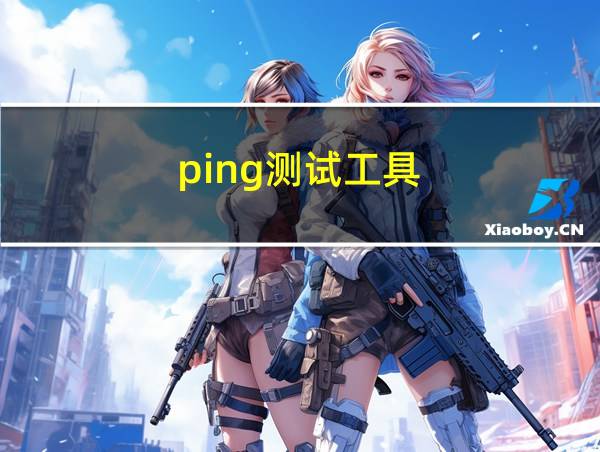 ping测试工具的相关图片