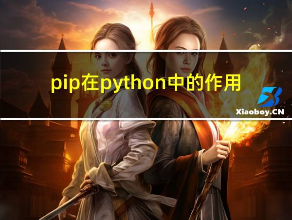 pip在python中的作用的相关图片