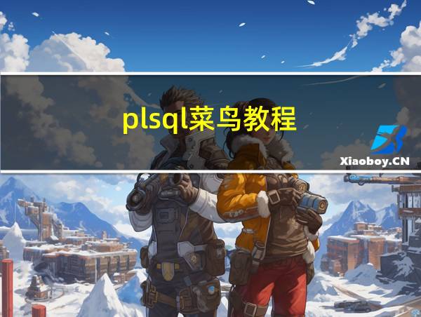 plsql菜鸟教程的相关图片