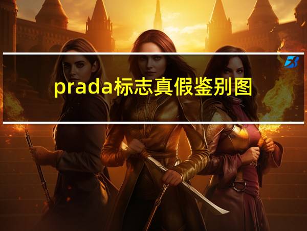 prada标志真假鉴别图的相关图片