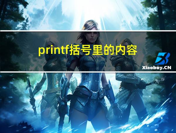 printf括号里的内容的相关图片