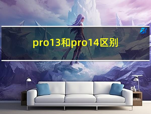 pro13和pro14区别的相关图片